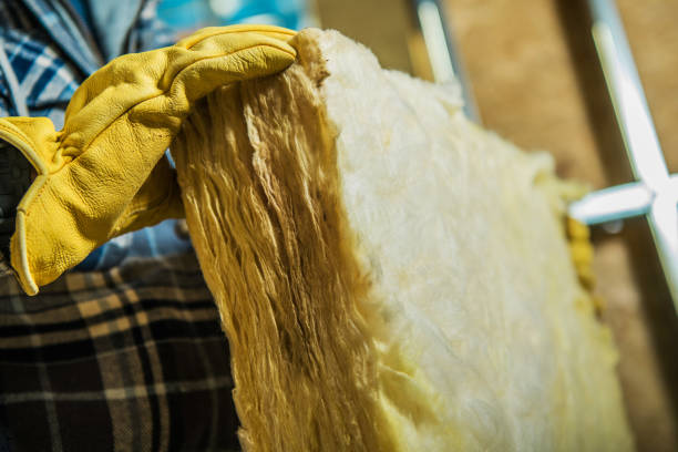 Best Residential Insulation in Rainelle, WV